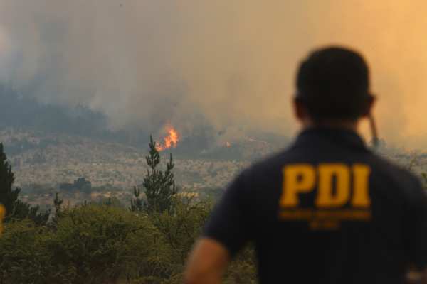 PDI acumula 12 órdenes de investigar incendios forestales en Ñuble