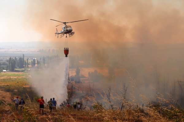 Conaf advierte que incendios se concentran en monocultivos