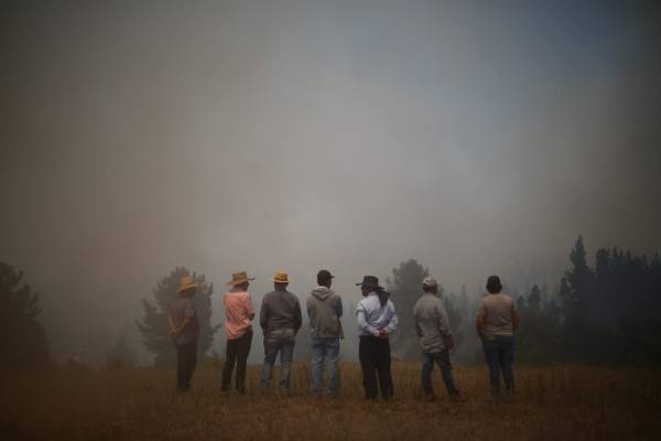 Impacto en la agricultura