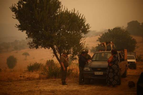 Trágica jornada: Las hectáreas quemadas ya son cerca de 50 mi