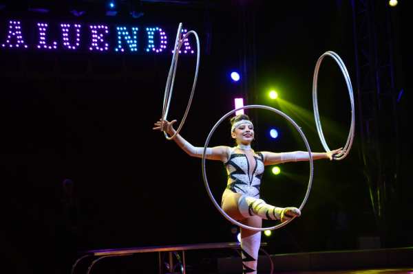 Municipio gestionó función gratuita del Circo “Los Maluenda”