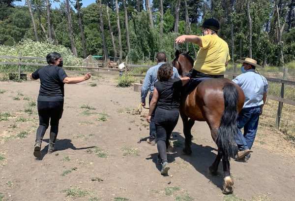 Alumnos de equinoterapia clasifican a Olimpiada Iberoamérica en Colombia