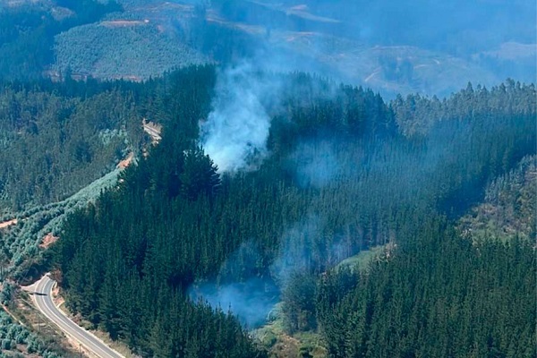 Corma denuncia ola de incendios intencionales en Ñuble, Biobío y Araucanía
