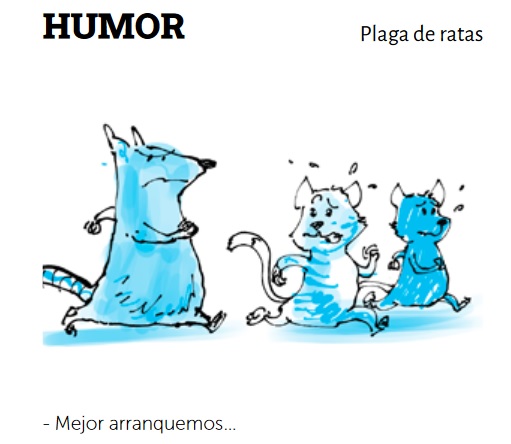 Humor