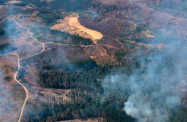 Gobierno pondrá “mucha atención” entre regiones Metropolitana y el Maule por altas temperaturas