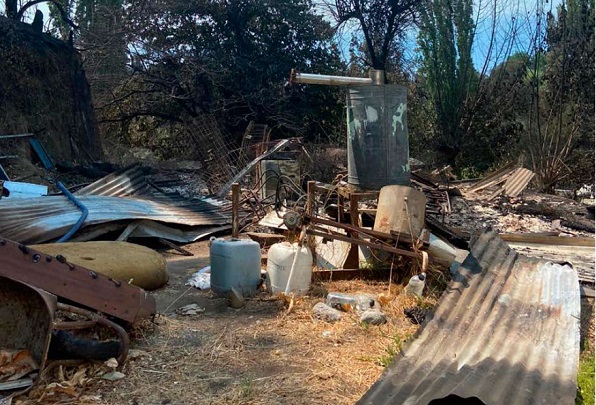 Incendios le infligen el más severo daño al agro de Ñuble en décadas