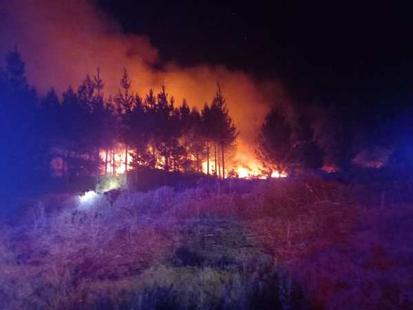 Presunto incendio intencional quemó 10 hectáreas en Coihueco