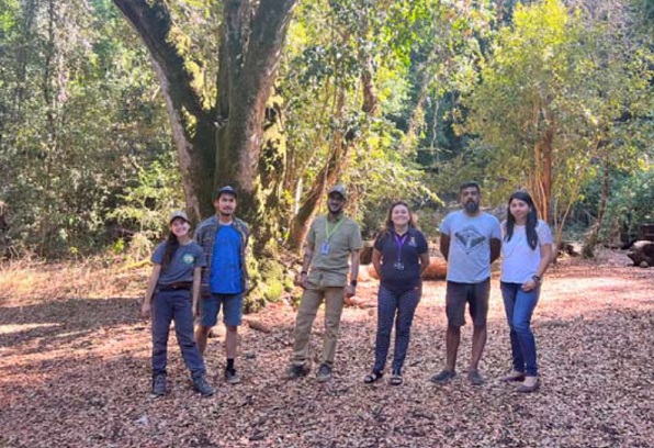 Medio Ambiente Ñuble recorre cerros de Ninhue para evaluar Plan de Restauración