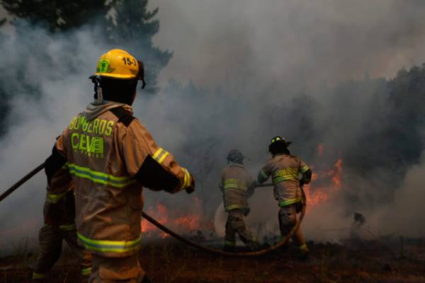 Ñuble suma dos imputados por iniciar incendios forestales