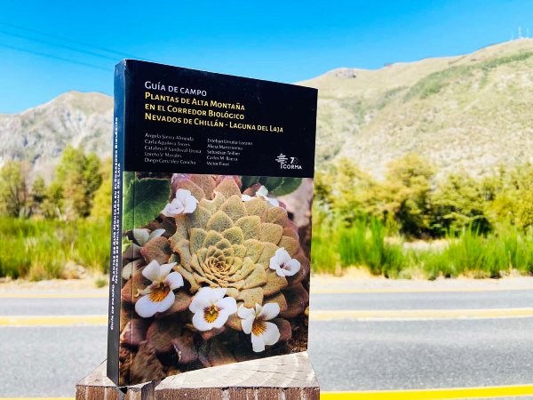 Lanzan en Las Trancas guía de campo que identifica un centenar de plantas que crecen en plena cordillera