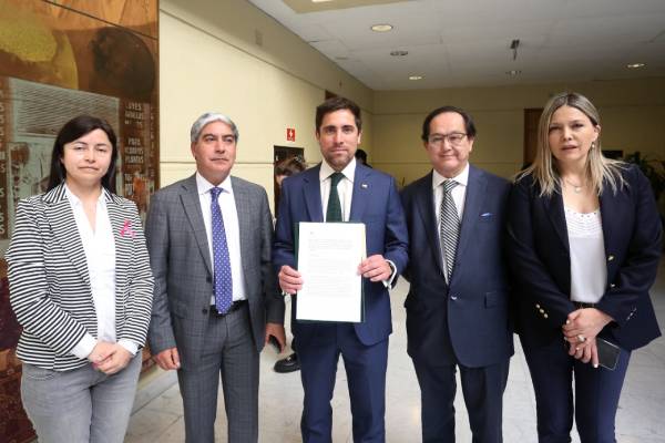 Buscan prohibir que futuras plantaciones forestales colinden con zonas urbanas