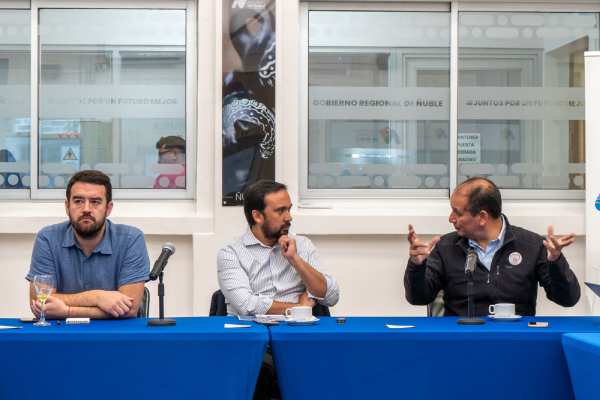 Gobernadores solicitan audiencia al Presidente Boric para agilizar medidas de reconstrucción