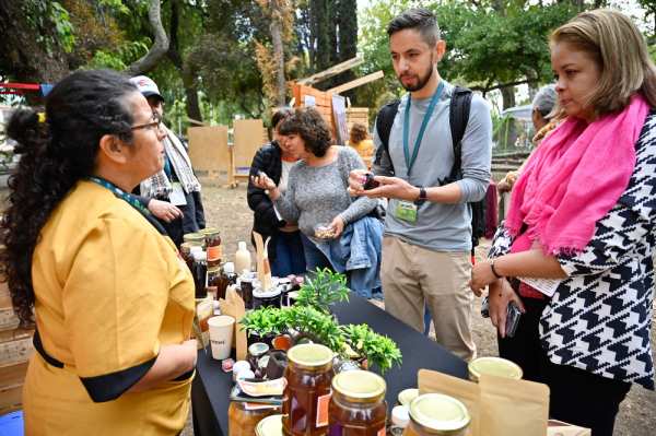 "Expo Agro Orgánico Ñuble" reúne más de 40 stand en Chillán