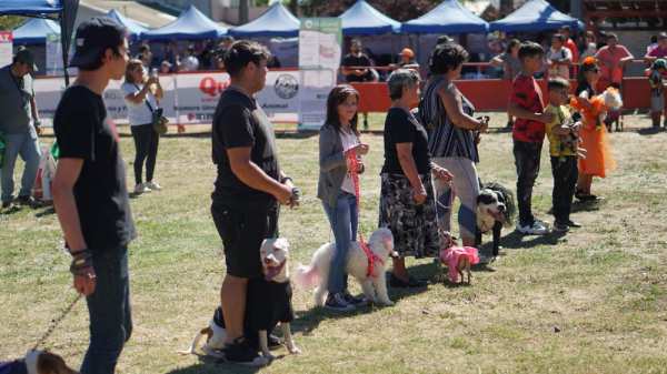 Cientos de familias exhibieron sus mascotas en Chillán