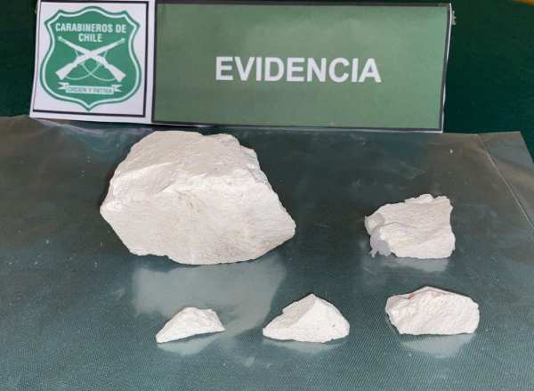 Conductor evadió control policial y chocó con árbol: portaba droga