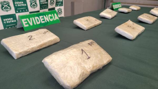 Incautan más de 10 mil dosis de cocaína que traían de Santiago a San Carlos