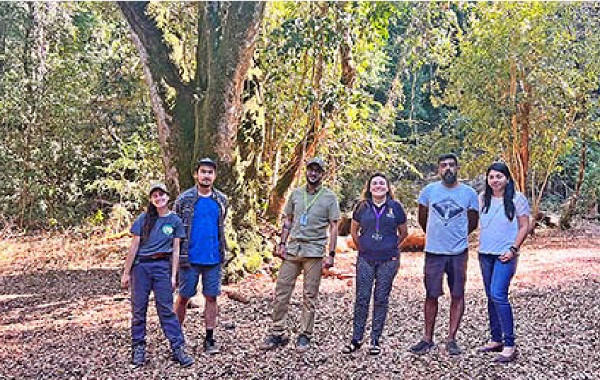Bosque nativo siniestrado alcanza las 4.892 hectáreas