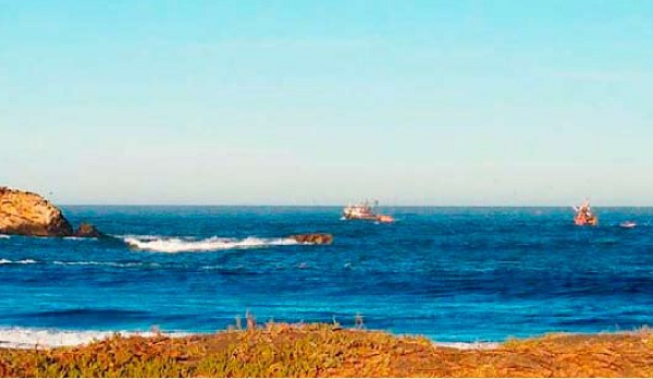 Aumento de plazo para pesca de Biobío en Ñuble suma rechazos