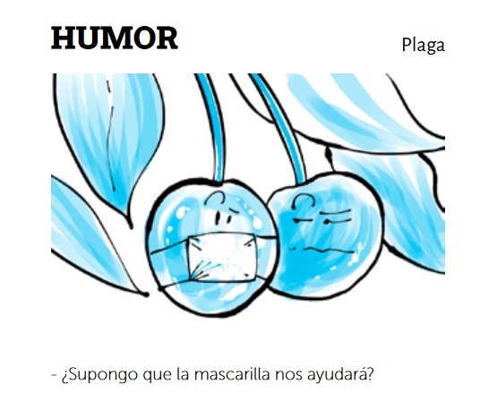 Humor