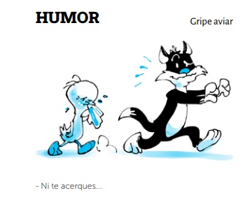 Humor