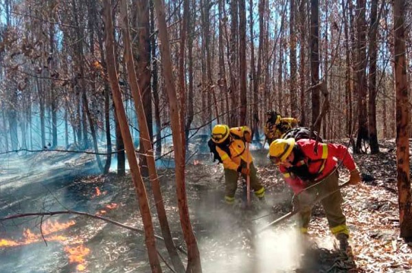 Incendios: colaborar para prevenir y actuar