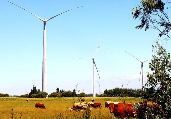 Proyectan en El Carmen el mayor parque eólico de la Región de Ñuble