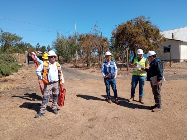 Tala de árbol causó corte de luz que afectó a más de 11 mil vecinos