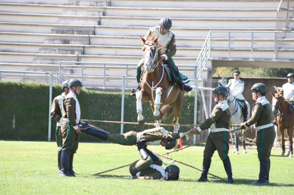 Acrobacias del "Cuadro Verde" sorprendieron a ñublensinos