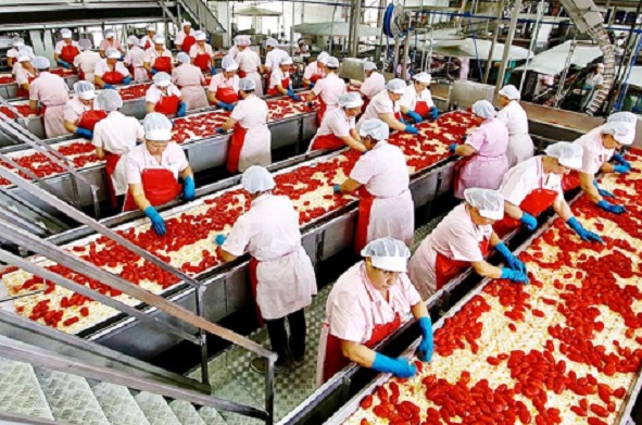 Analizan propuesta para crear en Ñuble una zona franca agroindustrial