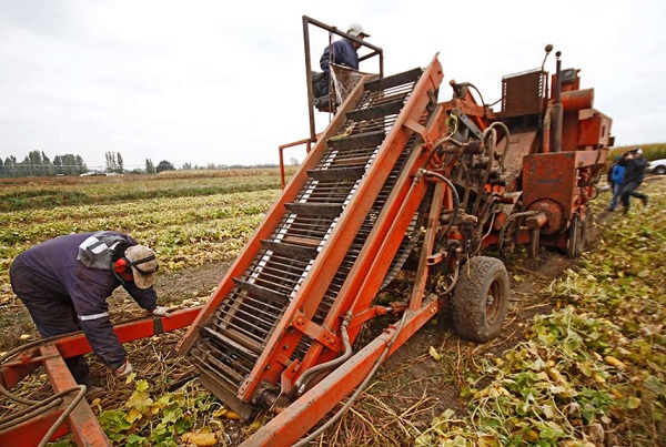 Exportaciones agrícolas de Ñuble crecieron 58,5% en enero-febrero