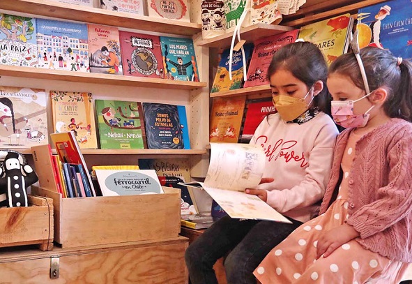 Presentarán en Ñuble diagnóstico de la lectura y el libro