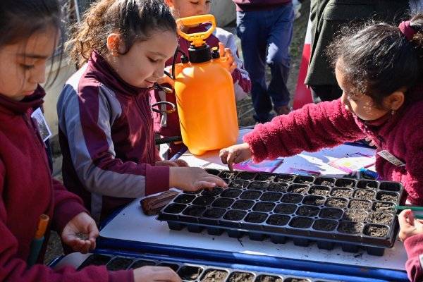 Escuela de Quinchamalí pone en marcha invernadero sustentable