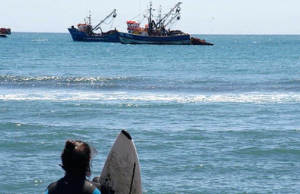 “Primera milla libre”: Cobquecura convoca a la comunidad a defender zona de pesca regional