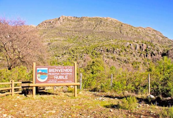 Servicio de Biodiversidad a un paso de convertirse en ley
