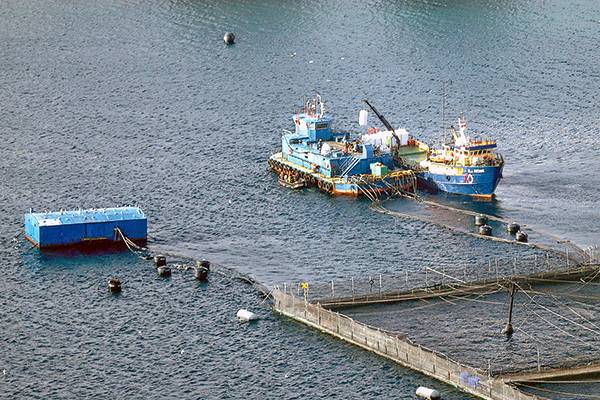 Industria salmonera criticó proyecto de áreas protegidas