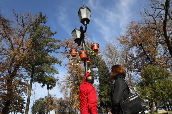 Recambian faroles de plaza de Chillán Viejo tras 26 años de uso