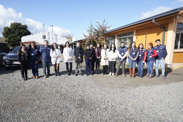 Itata y Diguillín contarán con móviles que acercarán la salud mental a vecinos
