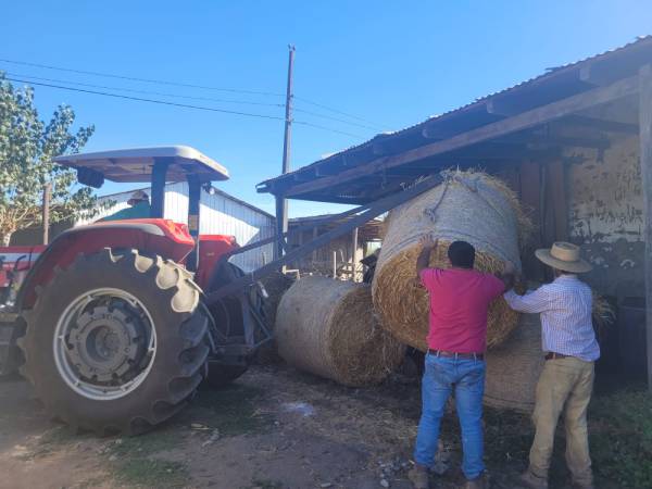 Foto del lector: Agricultores del sur envían forraje para animales de Chillán