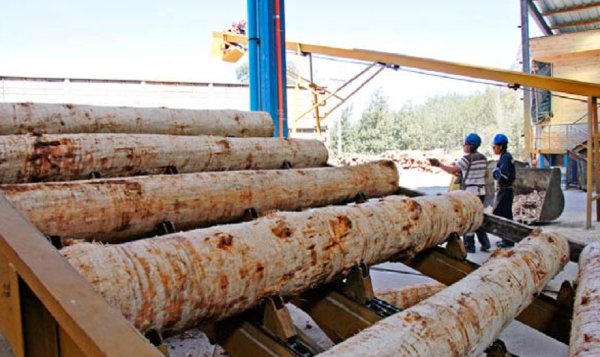Pymes madereras prevén lenta recuperación de los mercados