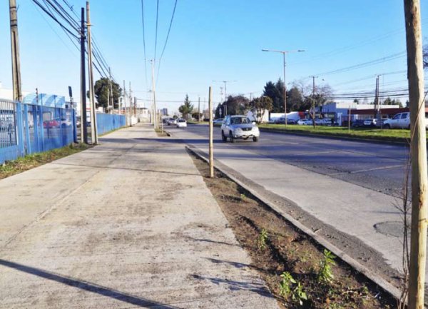 Serviu amplía hasta agosto el plazo para entrega de la nueva ciclorruta O’Higgins