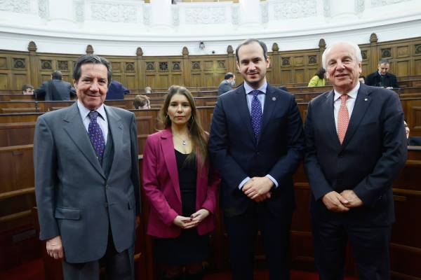 Consejo Constitucional pidió al congreso extender plazo para participación