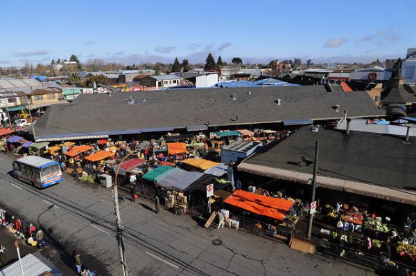 Agreden a inspector municipal en fiscalización de remedios en Chillán