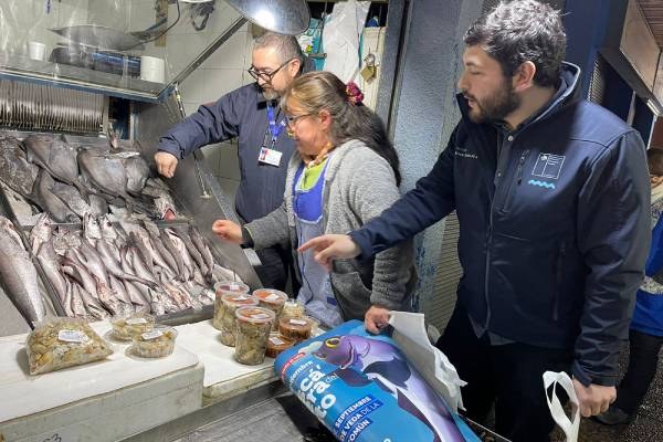 Anuncian veda de merluza por sobreexplotación en las costas del país