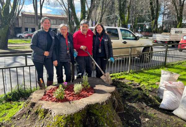 Inician masivo plan de arborización en Chillán con información en códigos QR