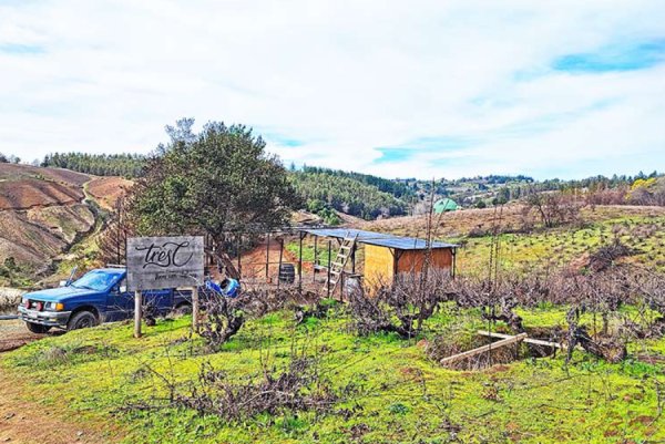 Gremio del enoturismo del Valle del Itata busca superar brechas