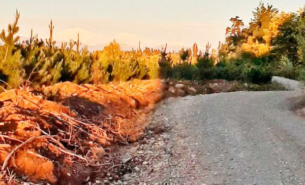 Aprueban fondos para licitar pavimento de ruta entre Chillán Viejo y San Ignacio