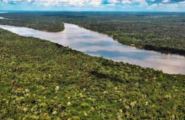 Cumbre busca salvar a la mayor selva tropical del planeta