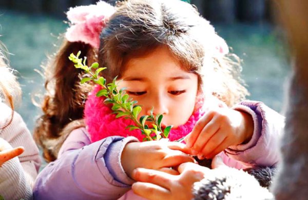 Proponen crear un vivero municipal para el proyecto de arborización de Chillán