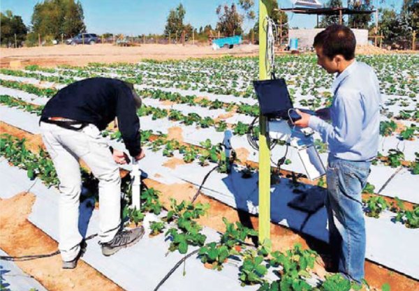 Promueven nuevas tecnologías de riego en fruticultores para enfrentar la sequía
