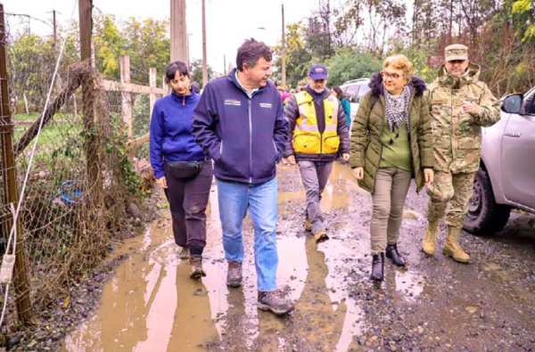 Destinan $3 mil millones para agricultores afectados de Ñuble